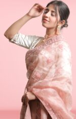PEACH PURE & PREMIUM ORGANZA CHIKANKARI SAREE & BLOUSE - Image 3