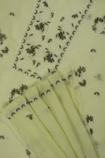 Srajann Hand Embroidered Green Chanderi Gown Lucknow Chikankari Unstitched Kurta With Dupatta
