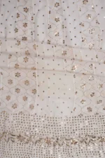 Srajann Hand Embellishment Anarkali Pure Georgette Only Mukaish work Lucknow Chikankari Unstitched Suit (SLC1178) - Image 9