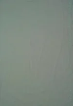 Srajann Hand Embroided Sea Green Linen Lucknowi Chikankari Unstitched Kurta Dupatta Set (SLC1813) - Image 12