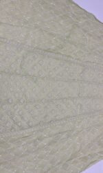 LIME GREEN CHANDERI MUL CHIKANKARI ANARKALI & DUPATTA SET - Image 6