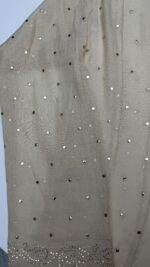 DYEABLE PURE & PREMIUM TISSUE MUKAISH ANARKALI & DUPATTA SET - Image 4