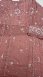 SALMON PINK PURE & PREMIUM TISSUE CHIKANKARI A-LINE ANARKALI & DUPATTA SET - Image 8