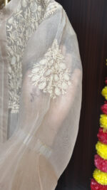 Nude Beige Pure & Premium Organza Chikankari Top - Image 4