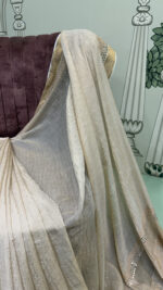 Tissue Saree