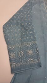 Powder Blue Chanderi Mul Chikankari Anarkali & Dupatta Set - Image 4