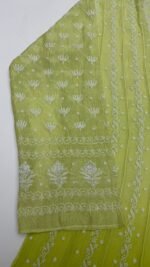 Apple Green Chanderi Mul Chikankari Anarkali & Dupatta Set - Image 4