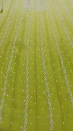 Apple Green Chanderi Mul Chikankari Anarkali & Dupatta Set - Image 5