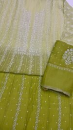 Apple Green Chanderi Mul Chikankari Anarkali & Dupatta Set - Image 6