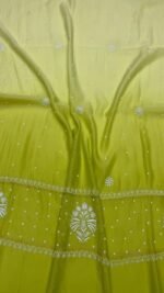 Apple Green Chanderi Mul Chikankari Anarkali & Dupatta Set - Image 2
